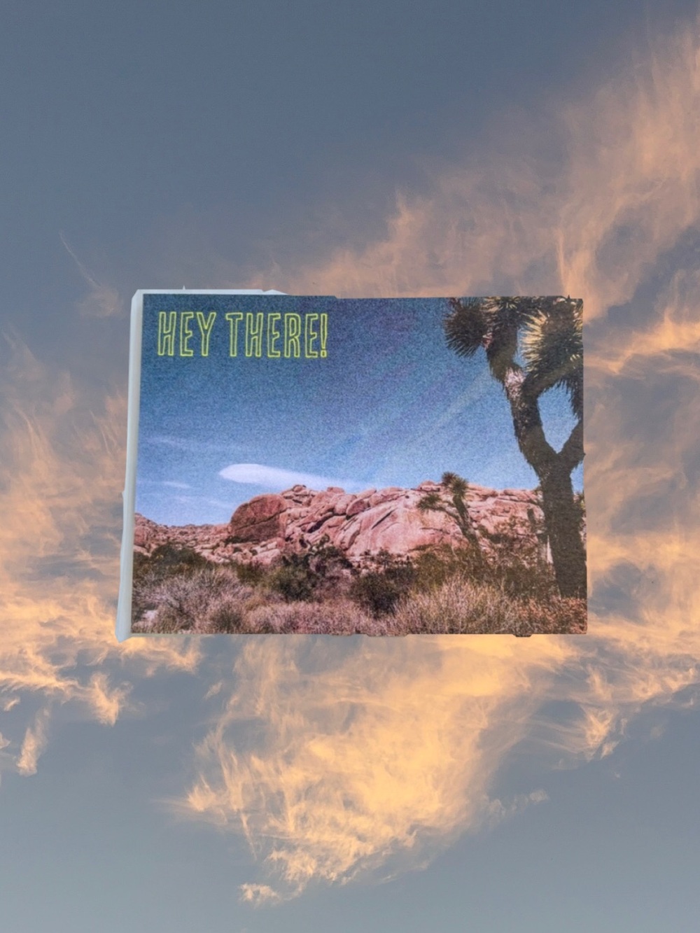 Joshua Tree Greeting Postcard